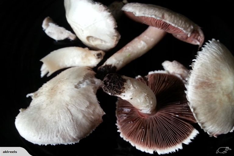 Photo of property in 38 Kururau Road, Taumarunui, 3920