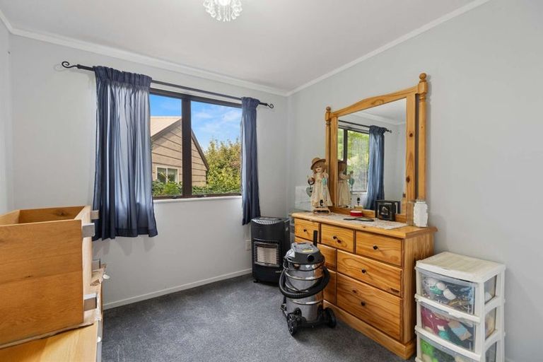 Photo of property in 53 Winchester Terrace, Bethlehem, Tauranga, 3110