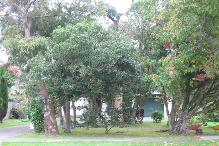 Photo of property in 4 Tennyson Avenue, Avalon, Lower Hutt, 5011