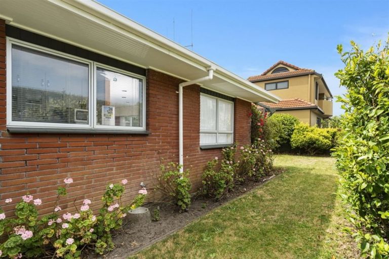 Photo of property in 387d Oceanbeach Road, Mount Maunganui, 3116