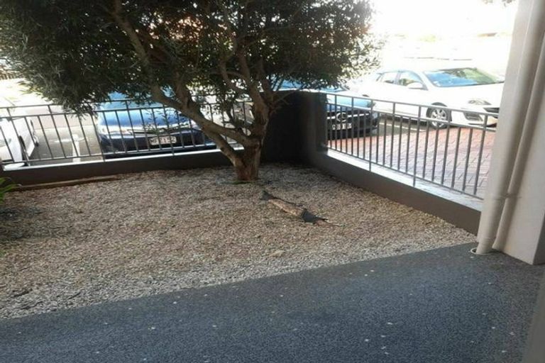 Photo of property in 80a Michael Jones Drive, Flat Bush, Auckland, 2019