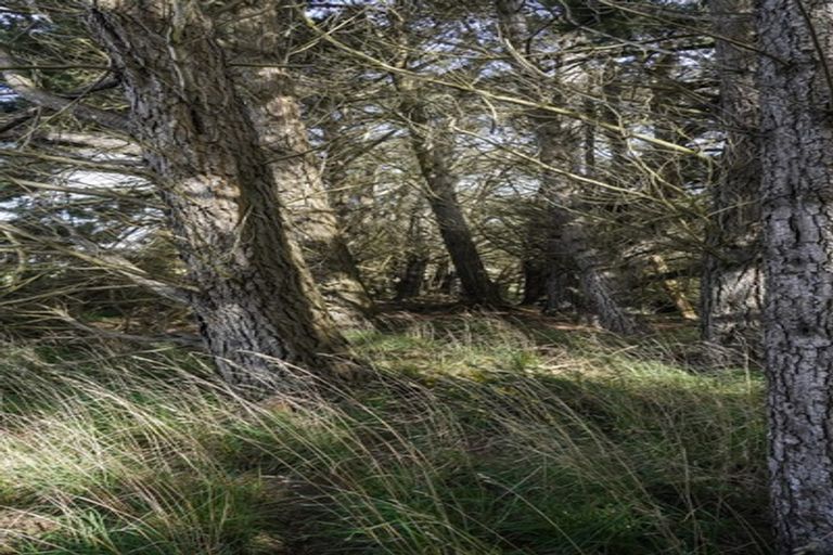 Photo of property in 21 Mcgilvray Road, Myross Bush, Invercargill, 9876