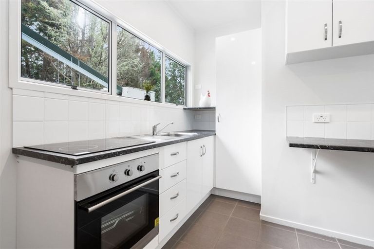 Photo of property in 46 Forest View Road, Te Kamo, Kamo, 0185