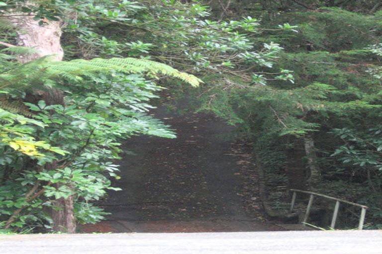 Photo of property in 61 Elmslie Road, Pinehaven, Upper Hutt, 5019