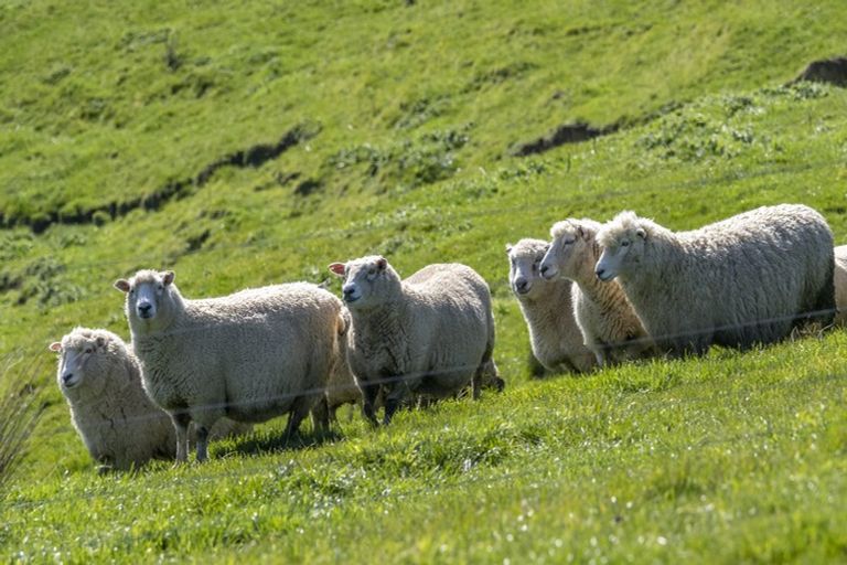 Photo of property in 425 Daggs Road, Bideford, Masterton, 5882