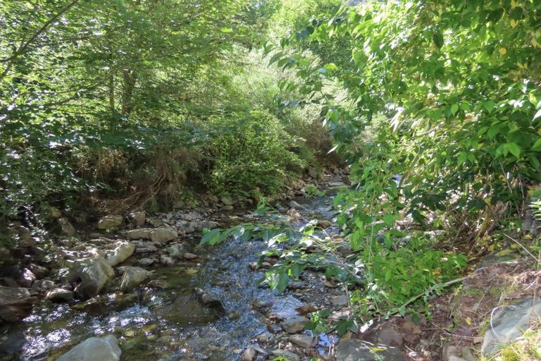 Photo of property in 37 Franklyn Street, Blacks Point, Reefton, 7830