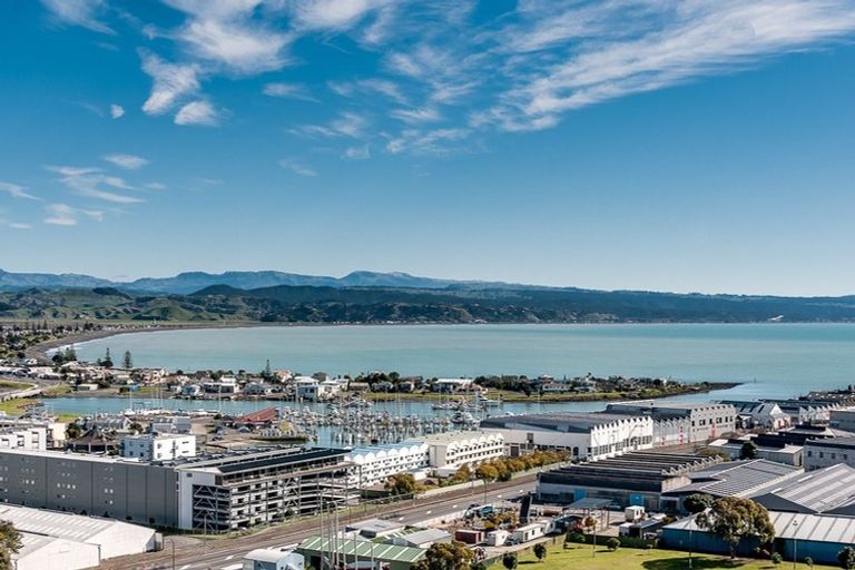 Photo of property in Shed 5, 104/1 Lever Street, Ahuriri, Napier, 4110