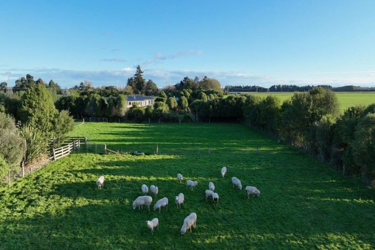 Photo of property in 35 Ridgens Road, Greendale, Christchurch, 7671
