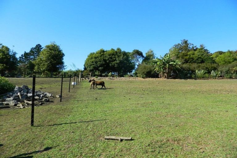Photo of property in 157 Okokako Road, Waimate North, Kerikeri, 0293