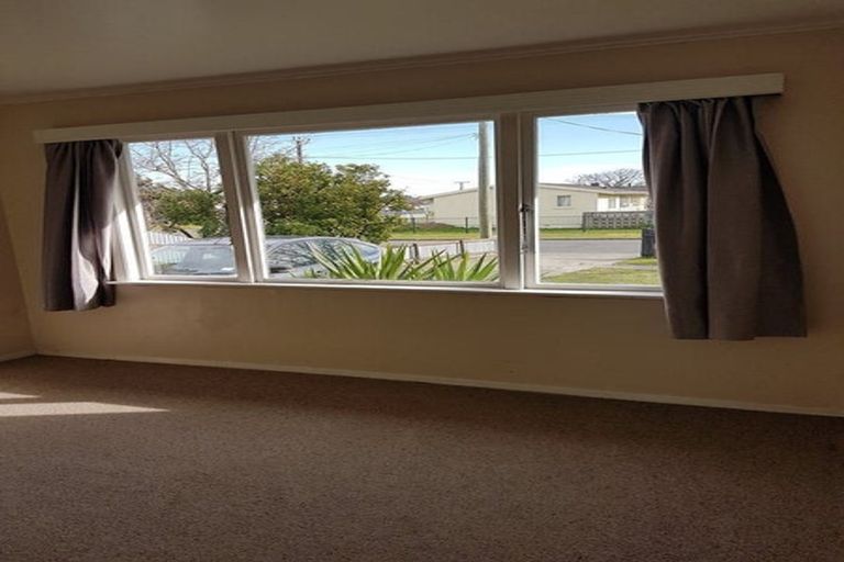 Photo of property in 41 Masefield Avenue, Maraenui, Napier, 4110