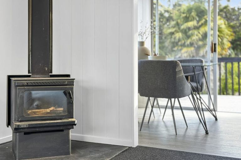 Photo of property in 69 Pine Avenue, Henderson, Auckland, 0612