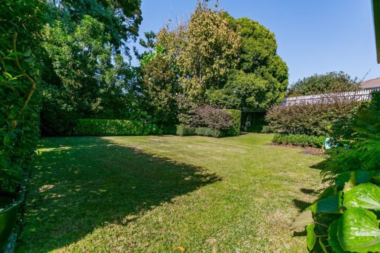 Photo of property in 44 Bethlehem Heights, Bethlehem, Tauranga, 3110