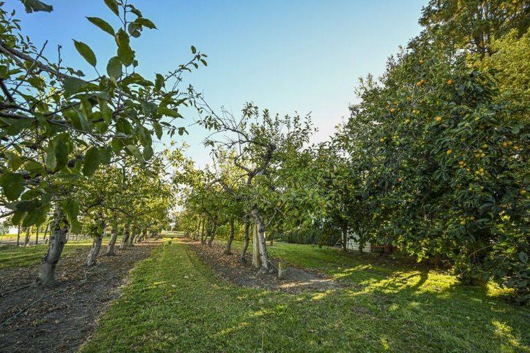 Photo of property in 36 Kaiapo Road, Camberley, Hastings, 4120