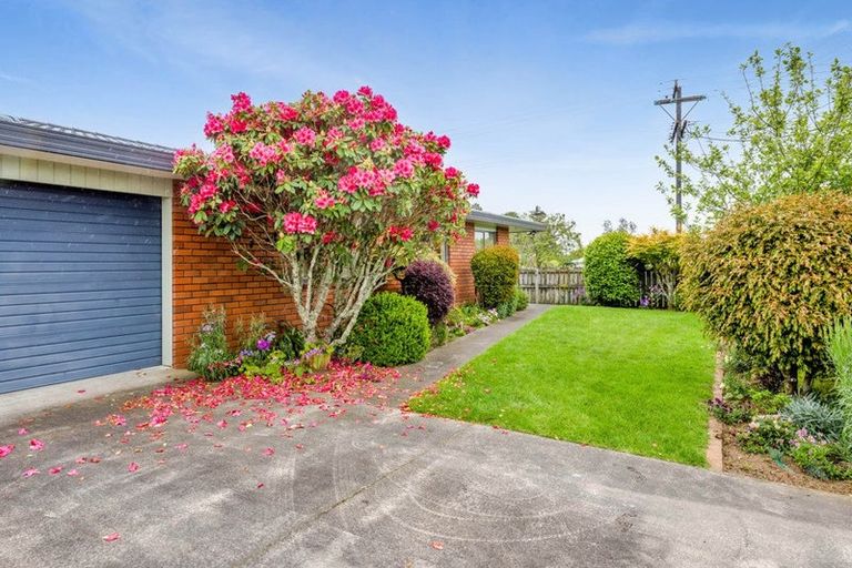 Photo of property in 51 Swansea Road, Stratford, 4332