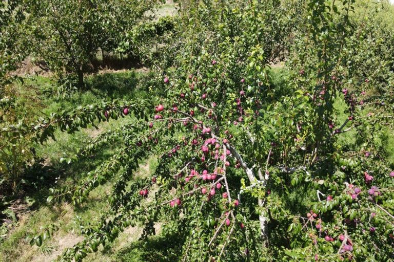 Photo of property in 271 Mystery Creek Road, Ohaupo, 3881