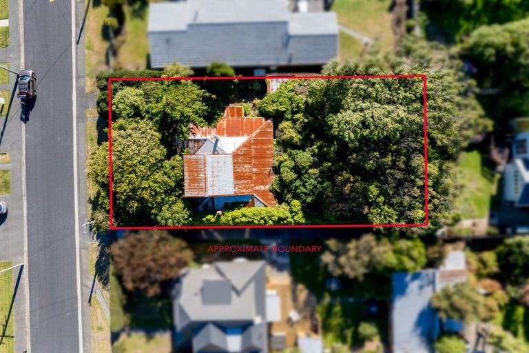 Photo of property in 56 Hunt Street, Andersons Bay, Dunedin, 9013