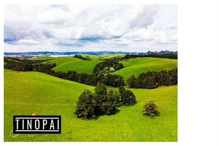 Photo of property in 1509 Tinopai Road, Tinopai, Matakohe, 0593