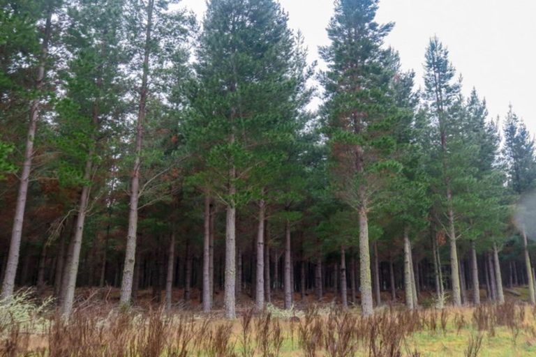 Photo of property in 3224 Waihopai Valley Road, Waihopai Valley, Blenheim, 7276