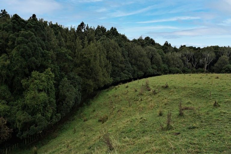 Photo of property in 25 Ryland Park, Levin, 5575