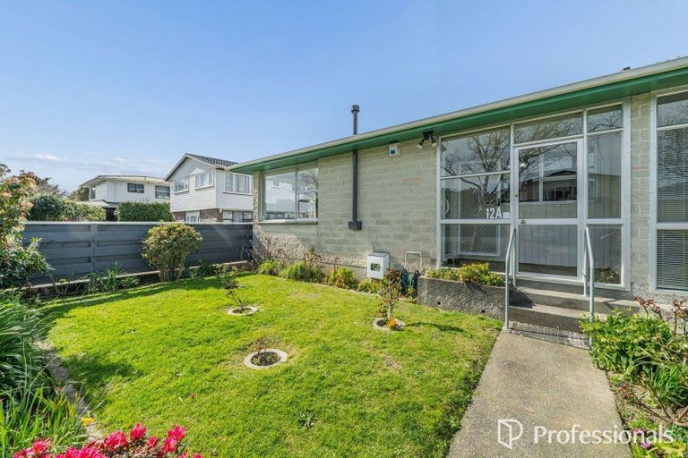 Photo of property in 12 Chesney Street, Avalon, Lower Hutt, 5011