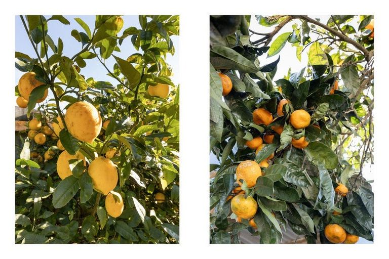 Photo of property in 62 Arawa Road, Whakatane, 3120