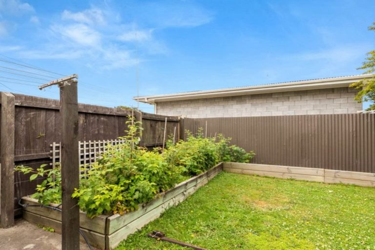 Photo of property in 169c Weld Street, Witherlea, Blenheim, 7201