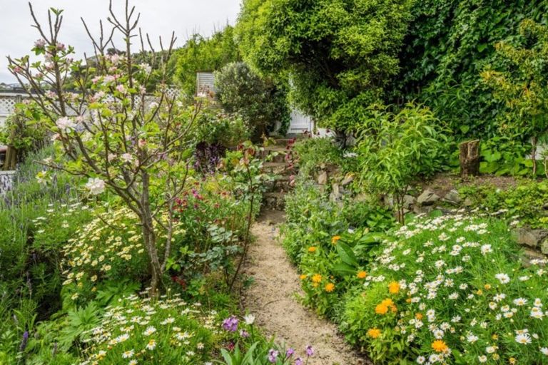 Photo of property in 31 Sunset Parade, Plimmerton, Porirua, 5026