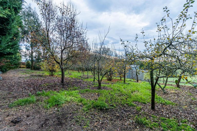 Photo of property in 293 Pleasant Point Highway, Levels, Timaru, 7975