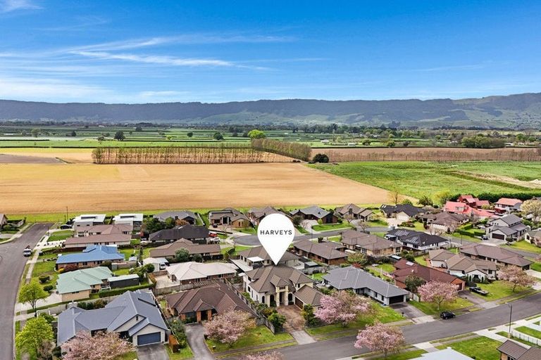 Photo of property in 83 Findlater Street, Matamata, 3400