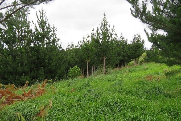 Photo of property in 289 Franklin Road, Paparoa, 0571