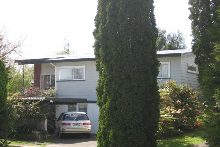 Photo of property in 53 Mcdowell Street, Springfield, Rotorua, 3015