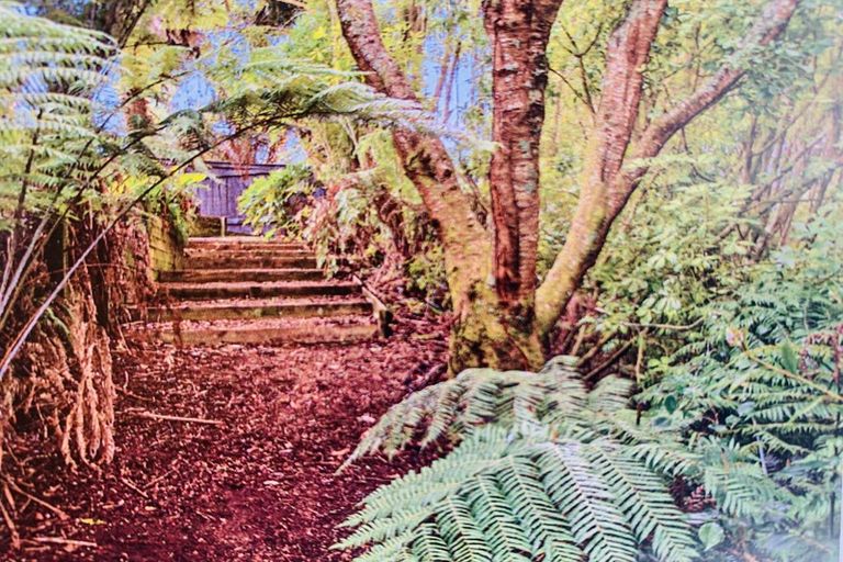 Photo of property in 19a Munro Place, Flagstaff, Hamilton, 3210