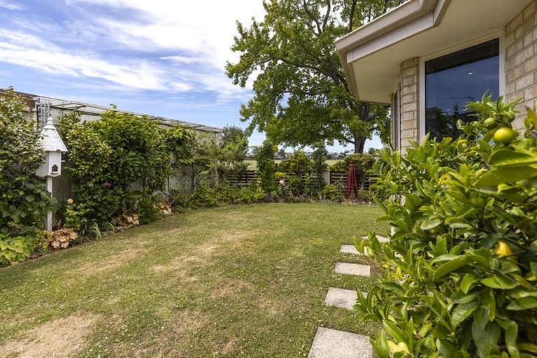 Photo of property in 113 Scott Street, Blenheim, 7201