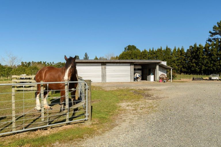 Photo of property in 1128d Omanawa Road, Omanawa, Tauranga, 3171