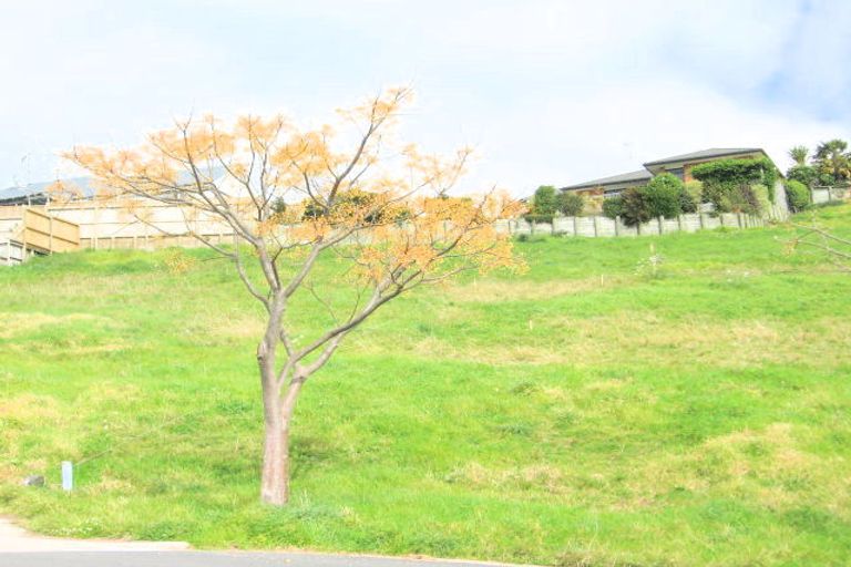 Photo of property in 16 Shrewsbury Close, Bethlehem, Tauranga, 3110