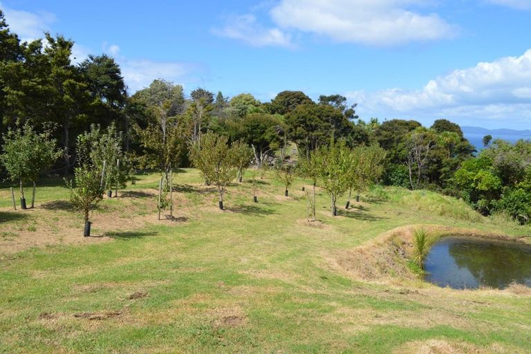 Photo of property in 3 Puriri Place, Tuateawa, Coromandel, 3583