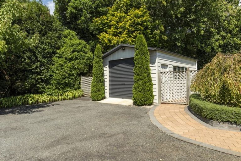Photo of property in 46 Plummer Road, Whakamarama, Tauranga, 3179