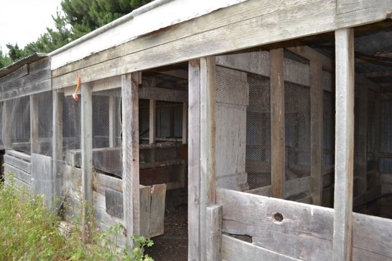 Photo of property in 1398 Main Road North, Waikuku, 7691