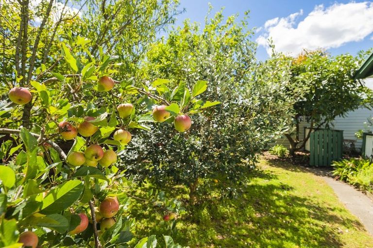 Photo of property in 11a Victoria Street, Te Hapara, Gisborne, 4010