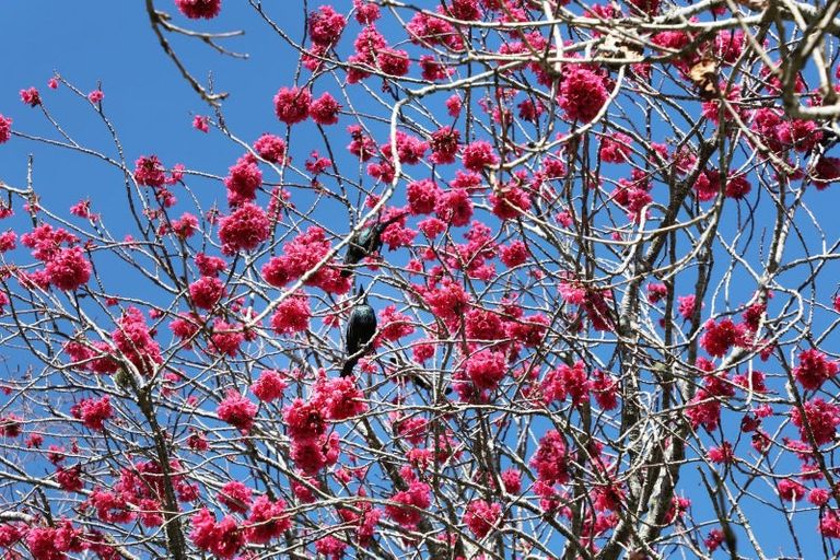 Photo of property in 154 Waipipi Wharf Road, Pollok, Waiuku, 2683