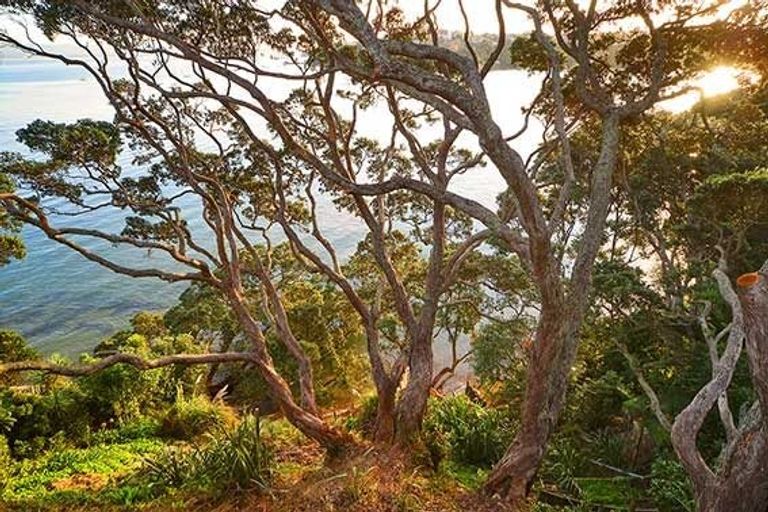 Photo of property in 74 Queen Street, Northcote Point, Auckland, 0627