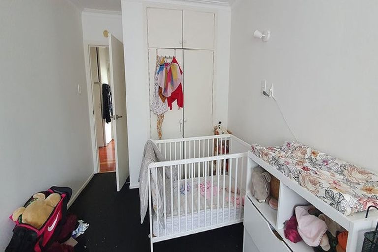 Photo of property in 24b Campbell Road, Mount Maunganui, 3116