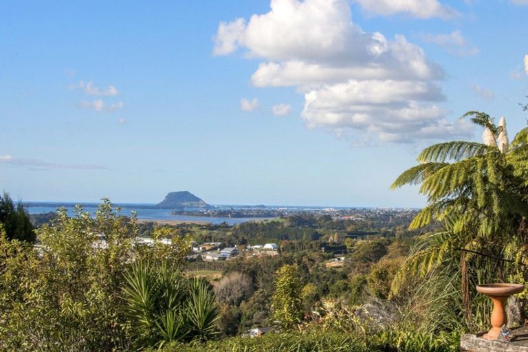 Photo of property in 186b Minden Road, Minden, Tauranga, 3176