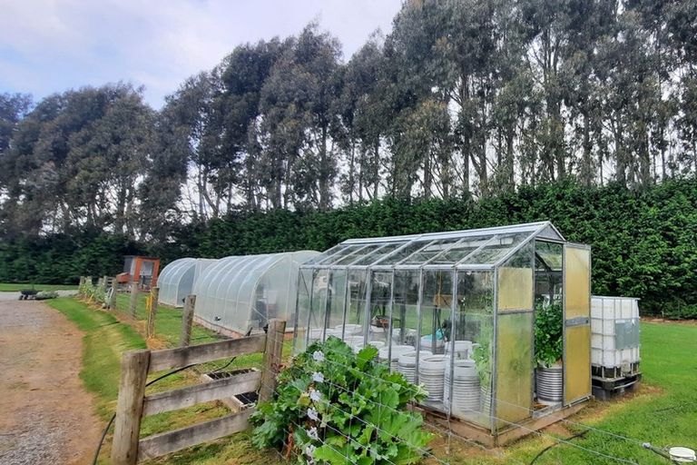 Photo of property in 377 Mcivor Road, Myross Bush, Invercargill, 9876