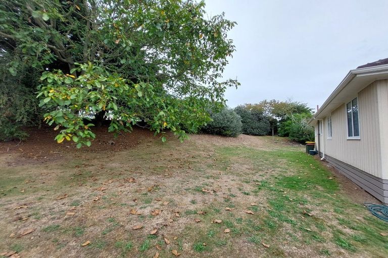 Photo of property in 11 Wiremu Street, Hamilton East, Hamilton, 3216