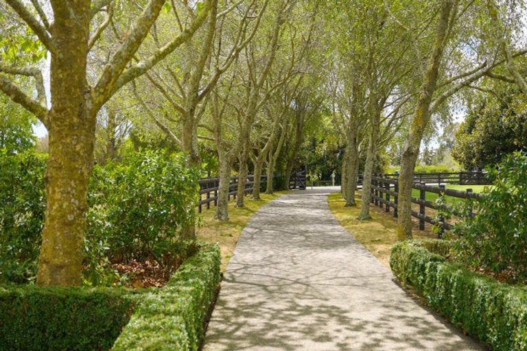 Photo of property in 65 Ernest George Drive, Karaka, Papakura, 2580