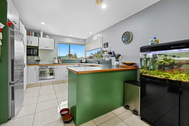 Photo of property in 17 Cashmere Place, Flagstaff, Hamilton, 3210