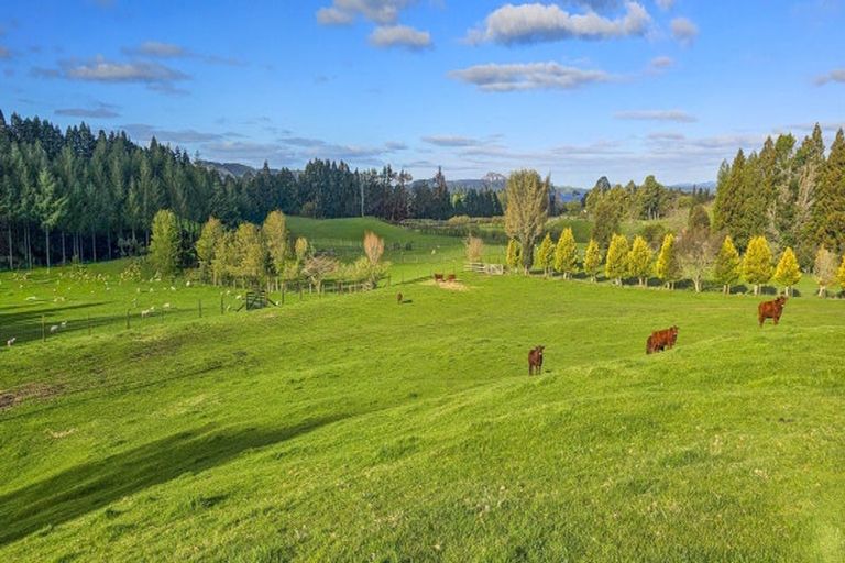 Photo of property in 94 Oturoa Road, Hamurana, 3072