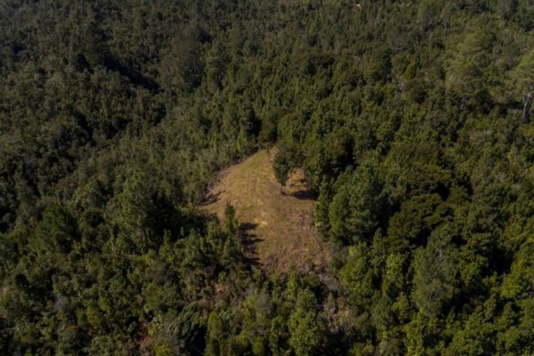 Photo of property in 625 Rangihau Road, Coroglen, Whitianga, 3591