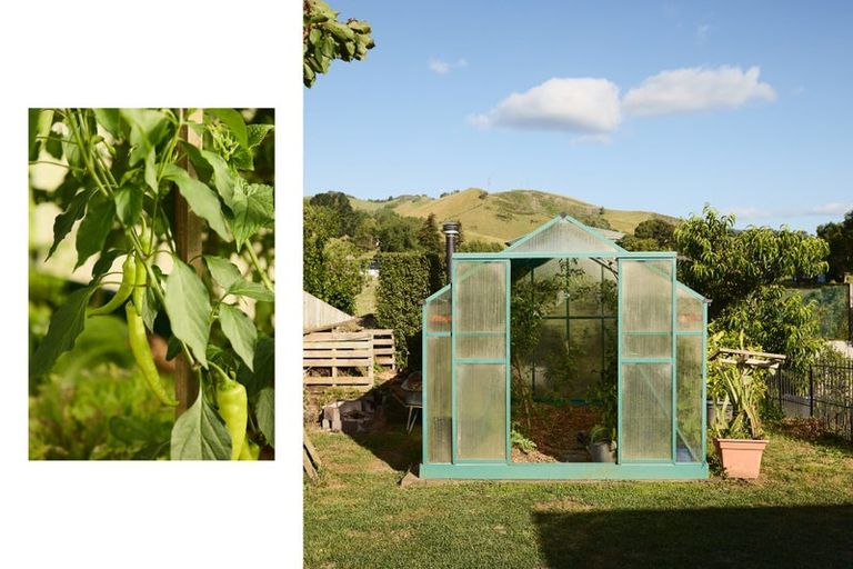 Photo of property in 19c Thames Road, Paeroa, 3600